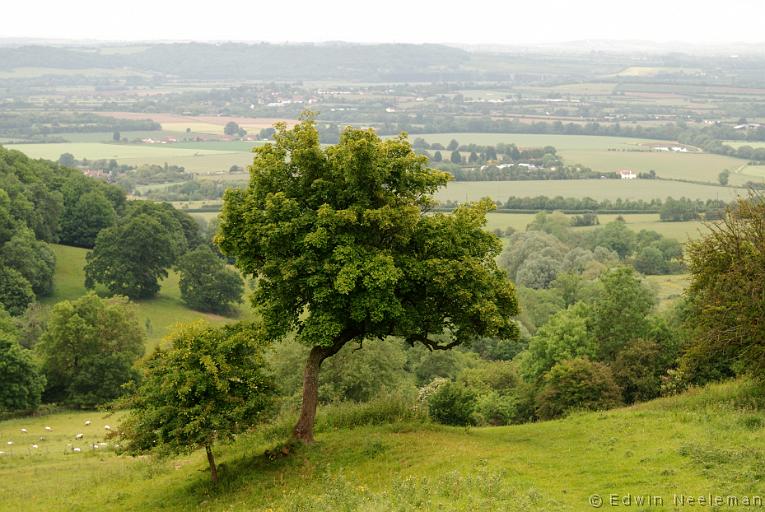 ENE-20110606-0281.jpg - [nl] Uitzicht vanaf Bredon Hill[en] View from Bredon Hill